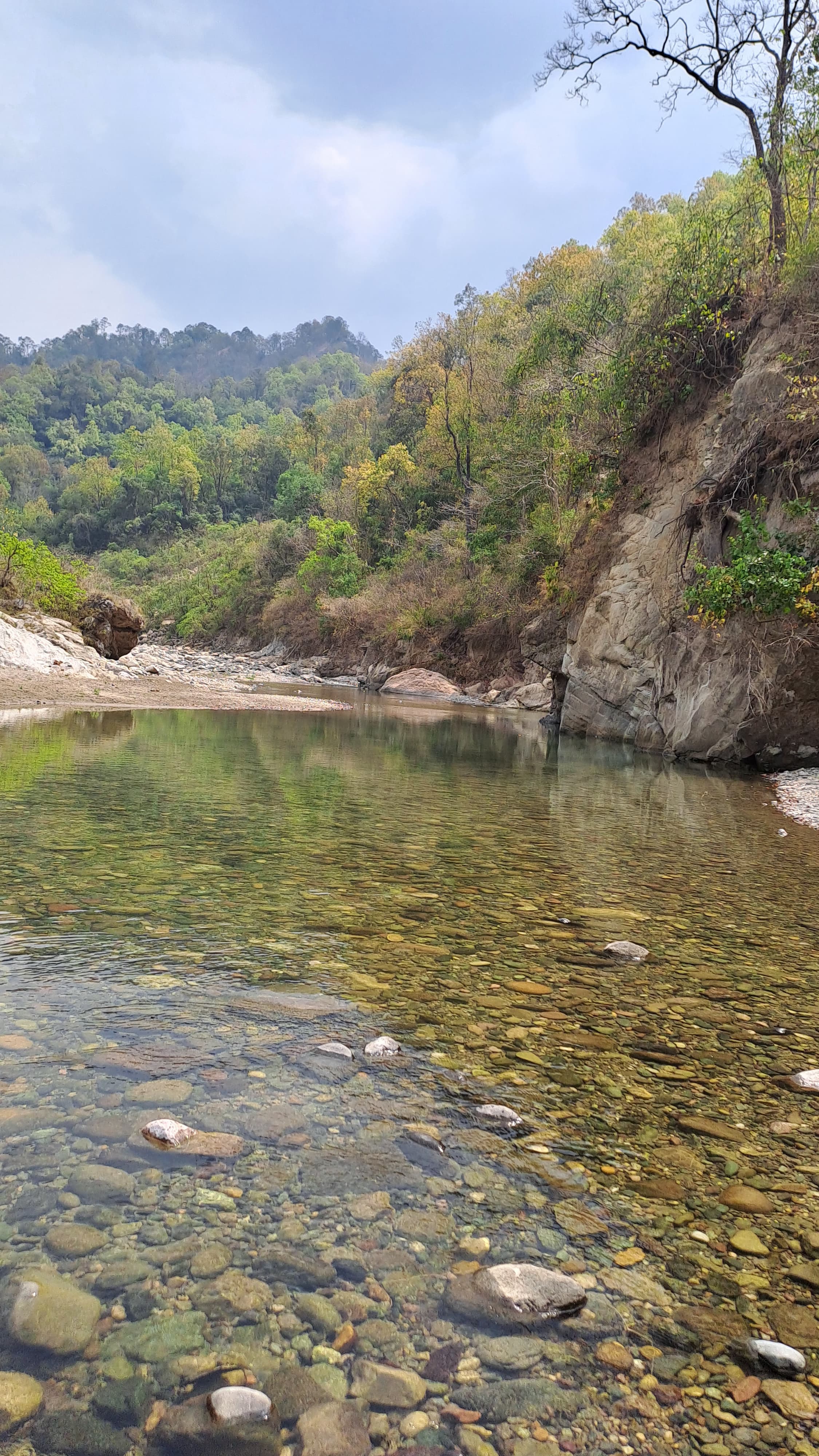 Close-up of wildlife at Prakarti Path