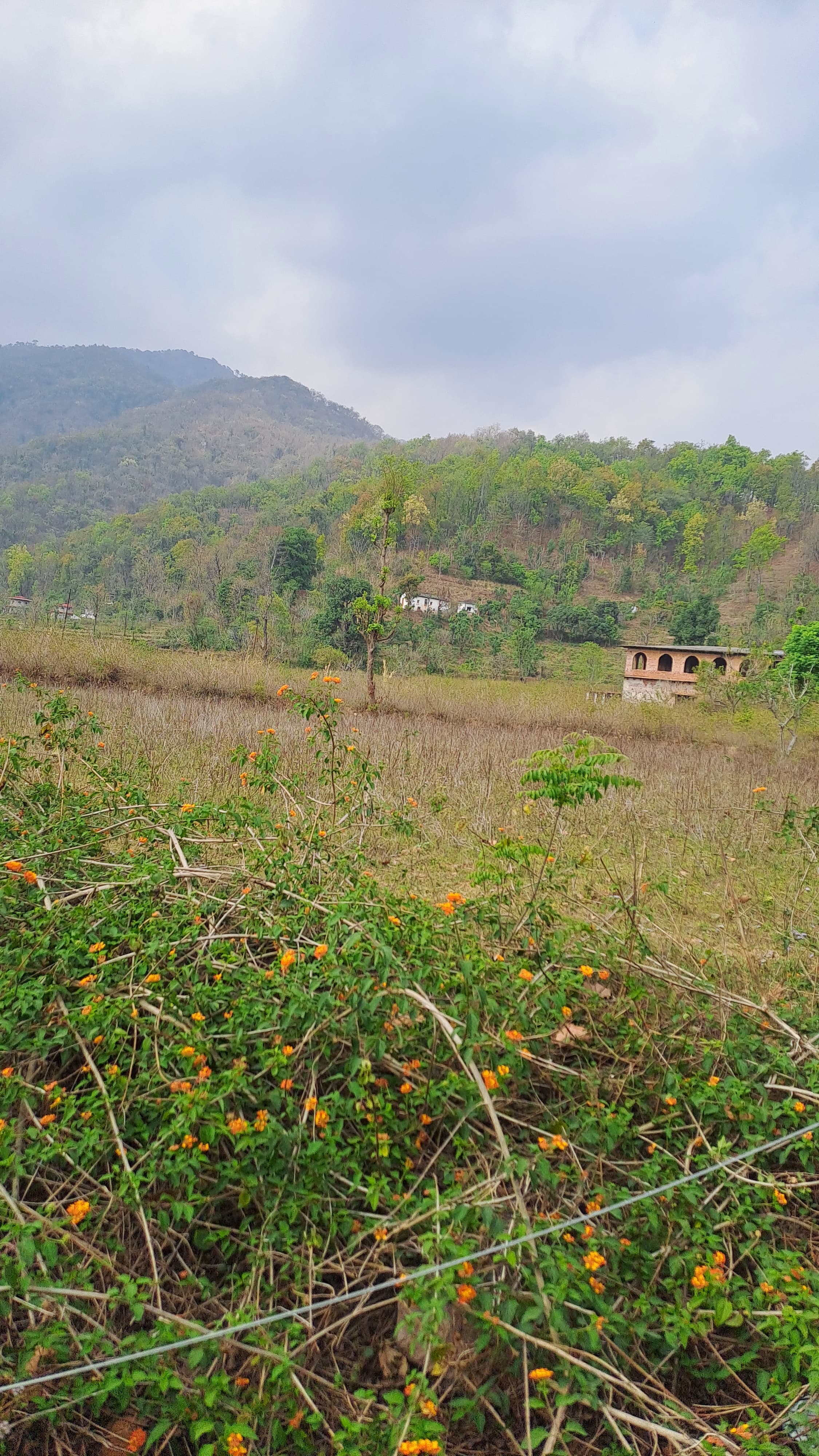 Breathtaking sanctuary landscape