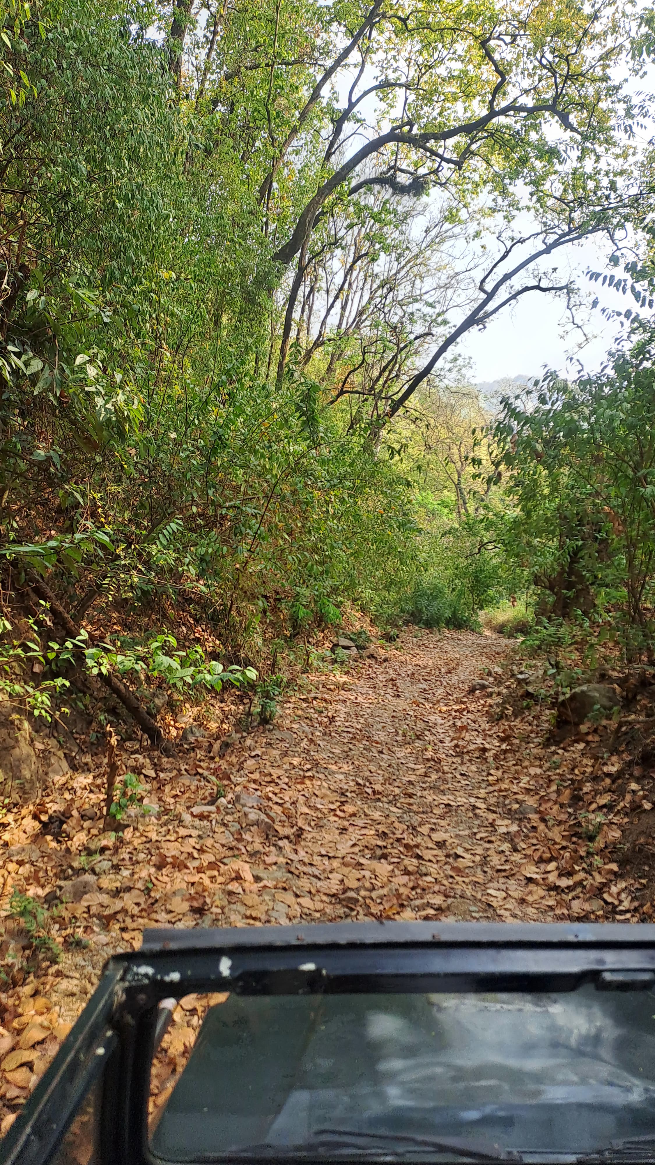Natural beauty of the sanctuary