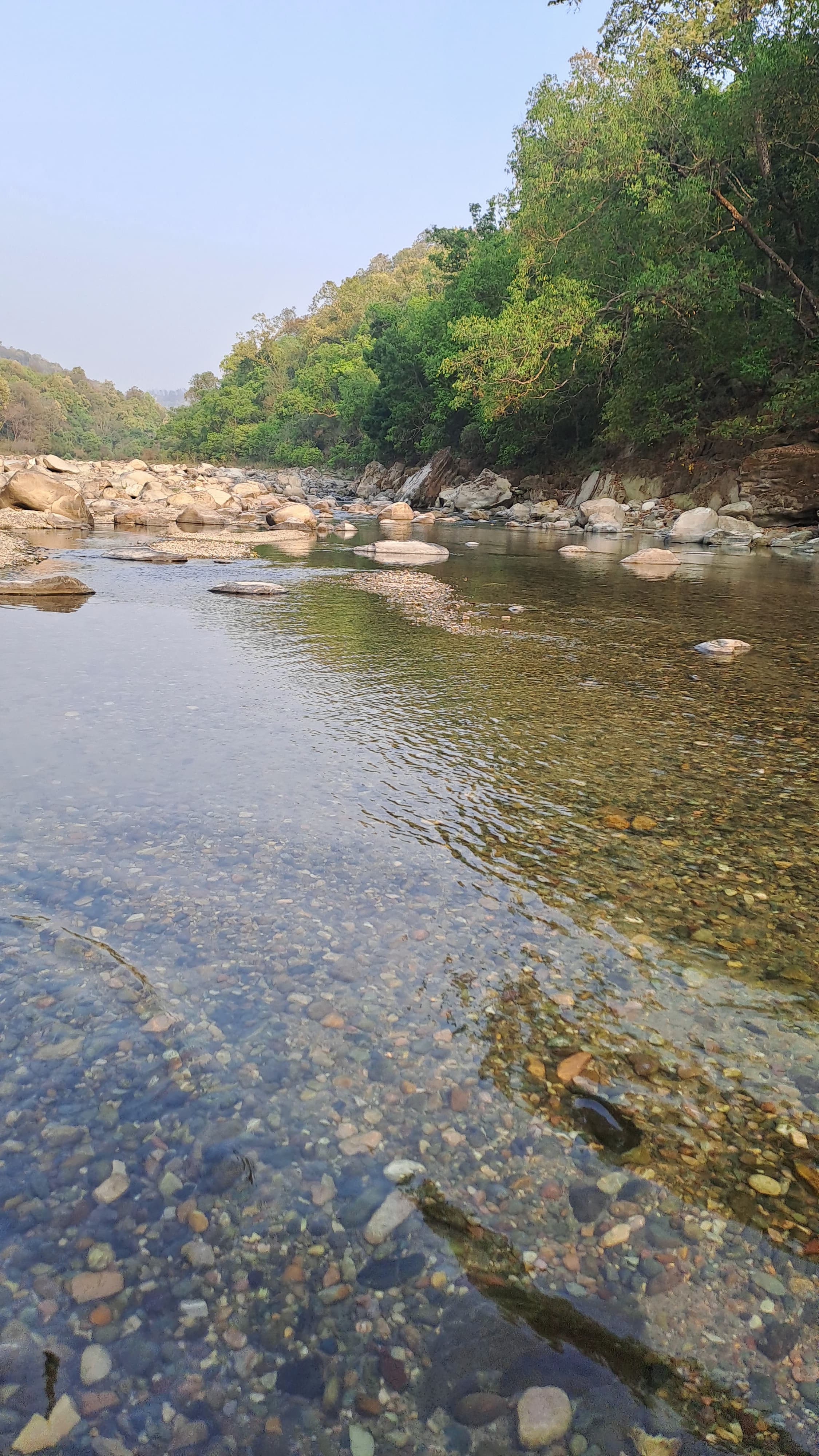 Serene nature at Prakarti Path