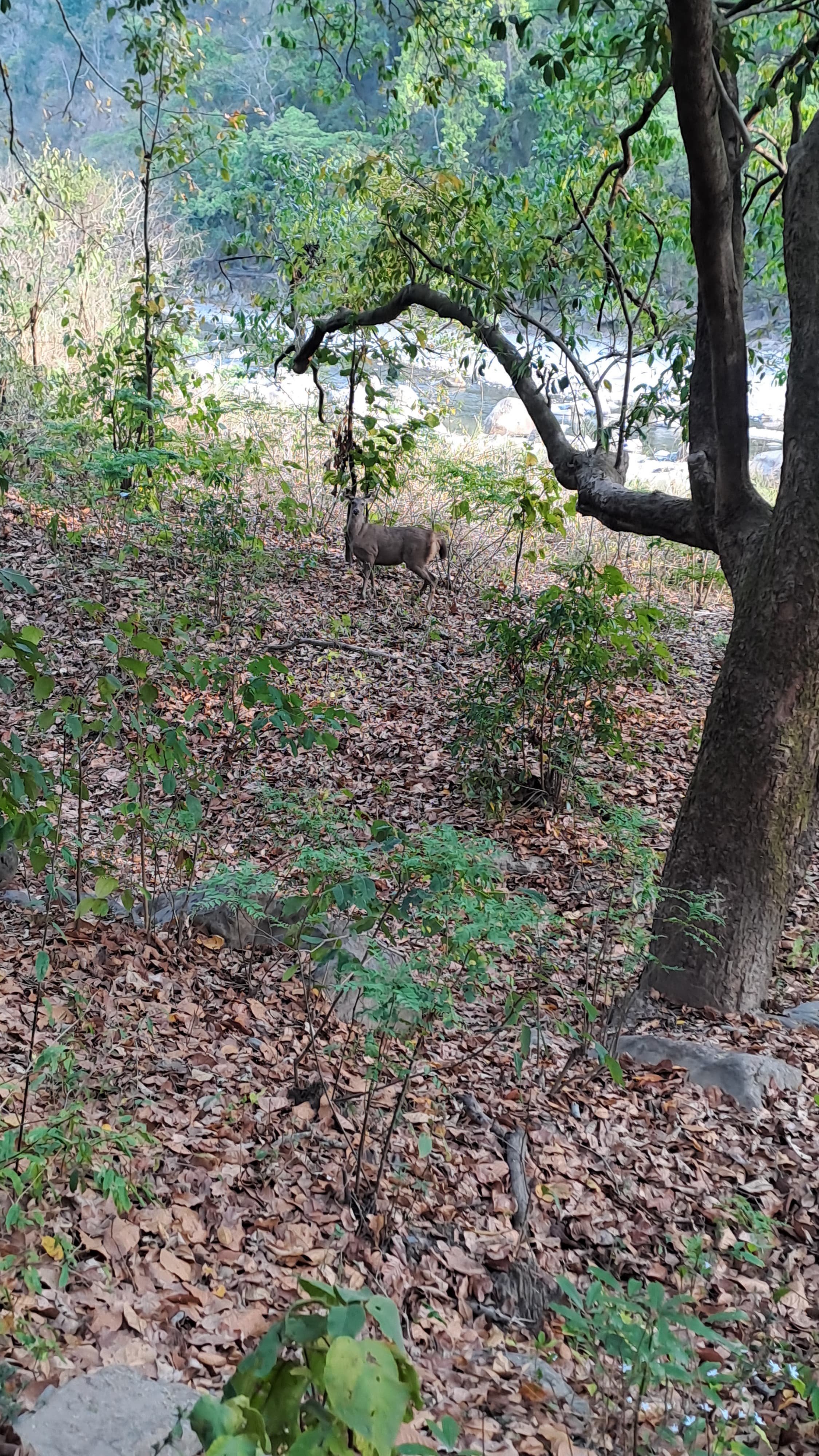 Wildlife sanctuary experience